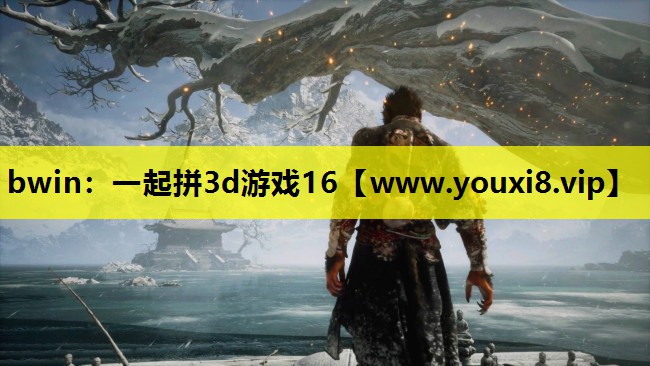 bwin：一起拼3d游戏16